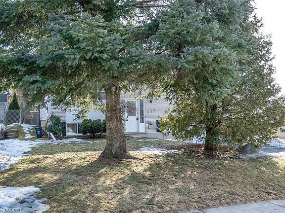 4th image of 550 Mount Anne Dr