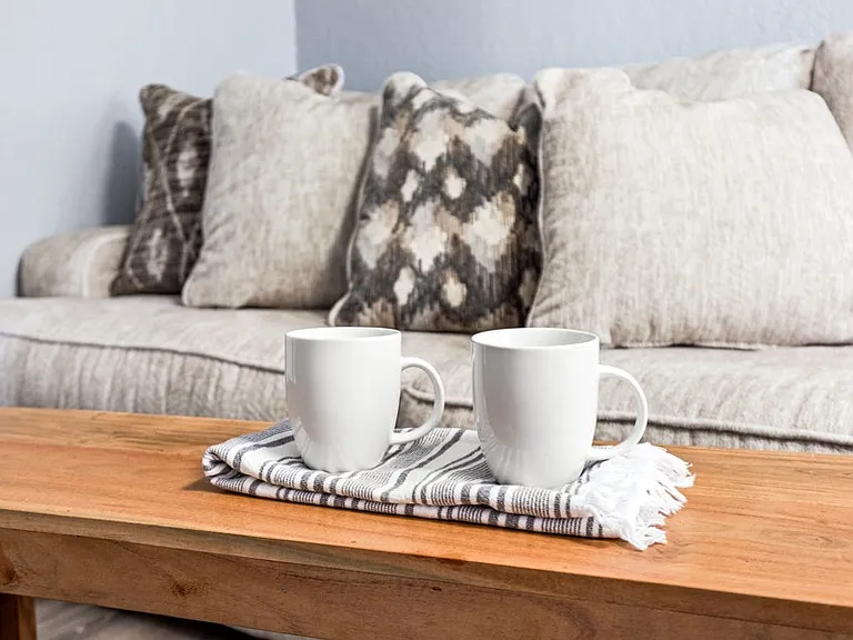 Comfy Living Room Sofa