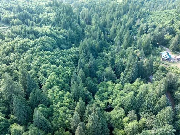 0 N Dubios Road, Ariel, WA 98603
