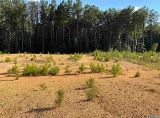 1581 McKesie St, Riverside, AL 35135