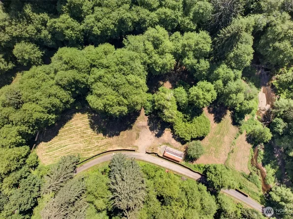 344 N Hull Creek Road, Grays River, WA 98621