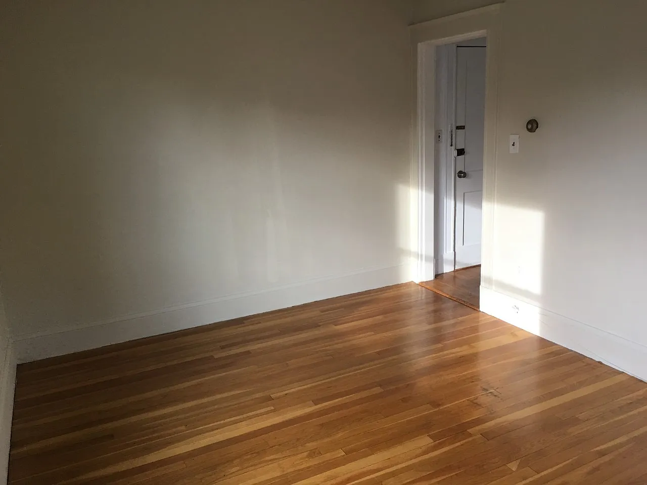 1 bed, 560 sqft, $1,650 — Photo 4