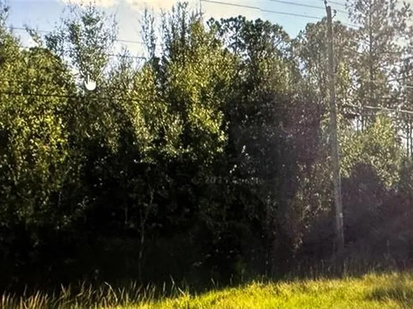 (undisclosed Address), POLK CITY, FL 33868