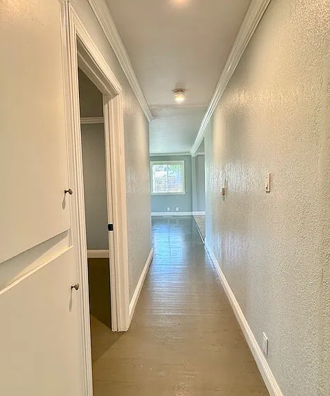 5554 Indiana Dr — Photo 15
