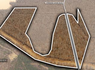 Ethridge Levee Rd, Greenfield, TN 38230