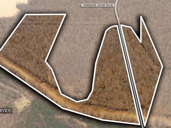 Ethridge Levee Rd, Greenfield, TN 38230