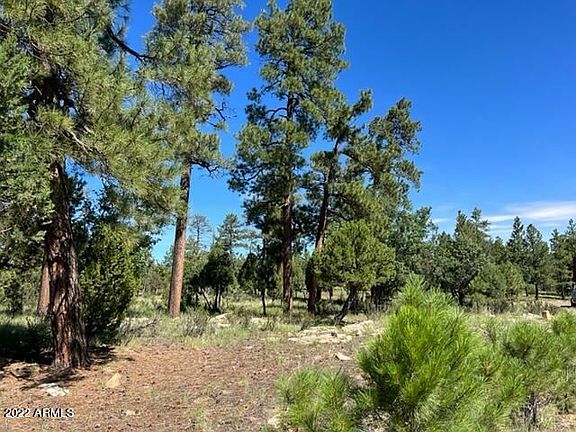3rd image of 2936 Sandia Cir