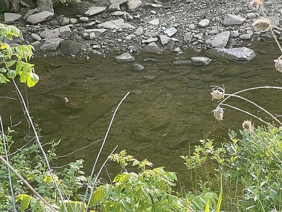 5th image of 3304 Staunton Parkersburg Tpke