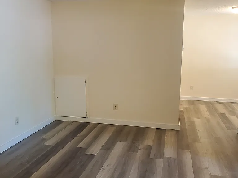 Wall between living room and dining/kitchen area.
