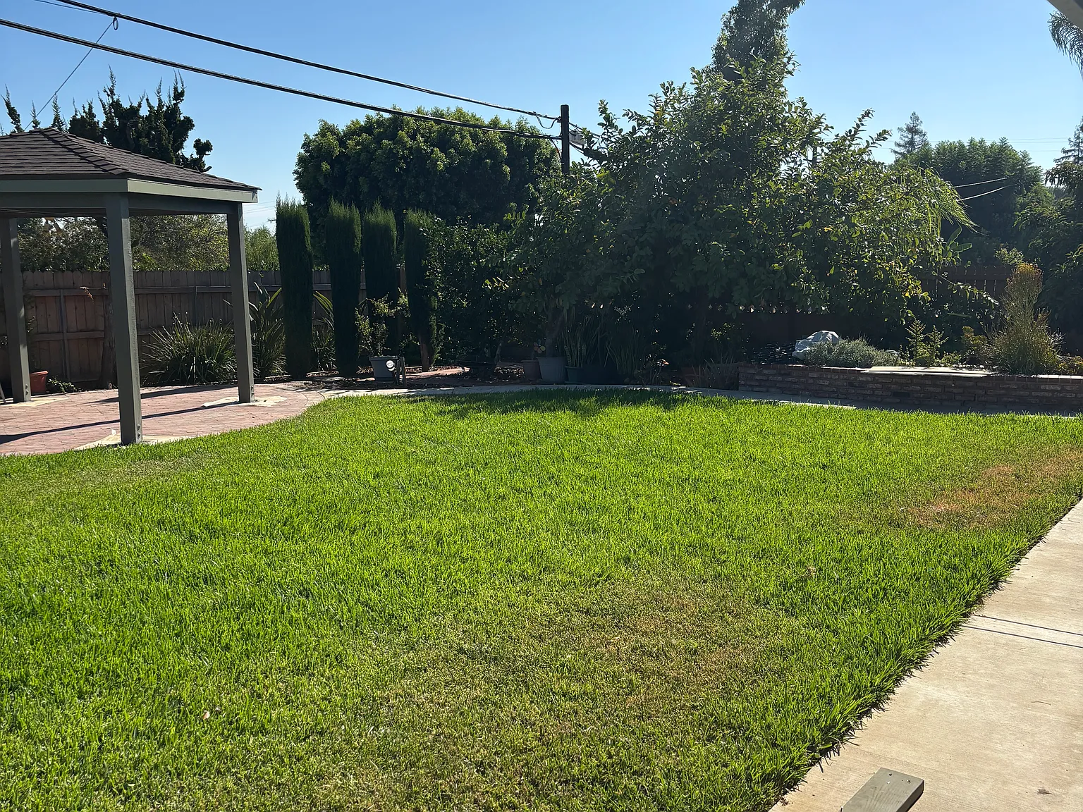 3 bed, 1602 sqft, $4,600 — Photo 3