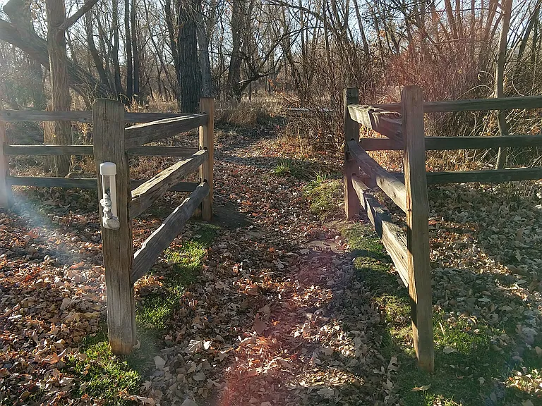 Owens St — Photo 31