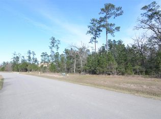 27528 Velvet Sky Way, Spring, TX 77386