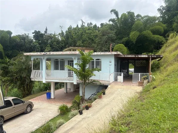156 Bo Mulas, Aguas Buenas, PR 00703