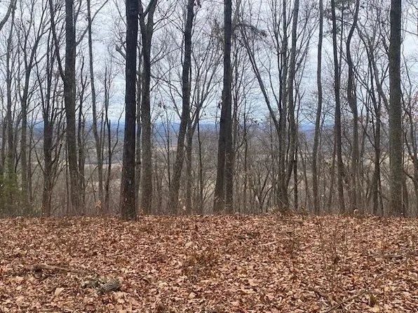 55 County Rd #875, Etowah, TN 37331