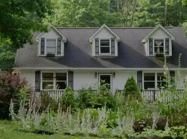 4336 Grassy Creek Rd, Leivasy, WV 26676
