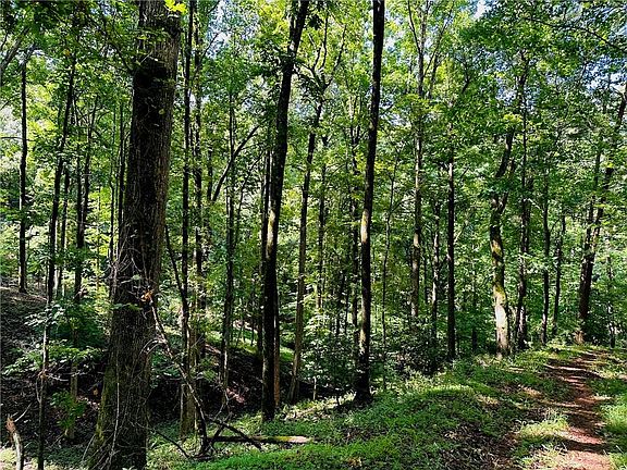 3rd image of Halls Mill Rd