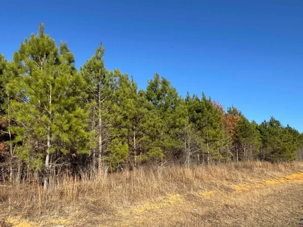 LOT 6A Whitfield Rd, Elko, GA 31025