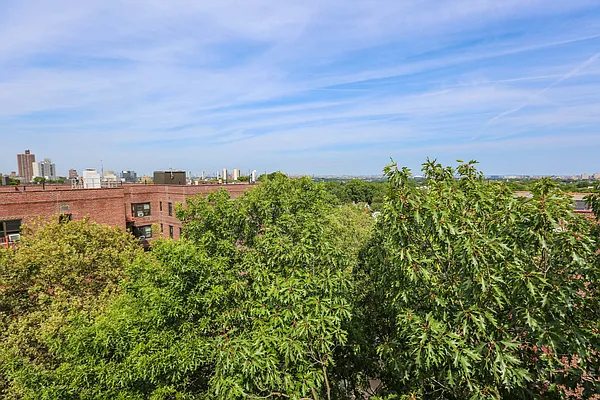 Rented by Project Queens LLC | media 7