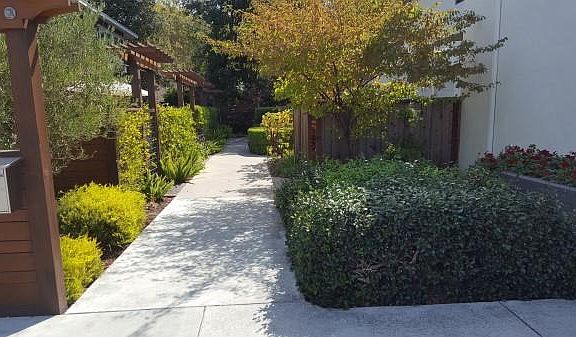 2nd image of 743 Roble Ave