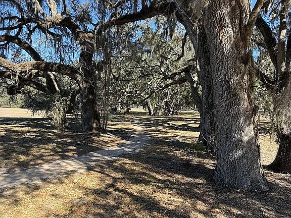 Walking Trails