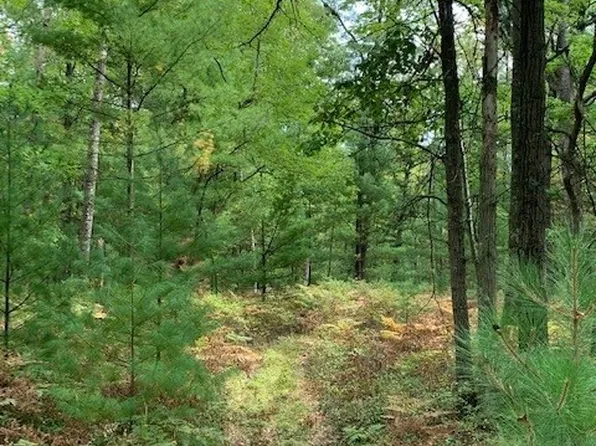 Lots 8 & 9 County Road J, Neillsville, WI 54456