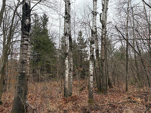 4th image of ON Sheep Camp Road