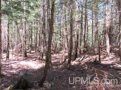 S Klingville Rd, Chassell, MI, 49916