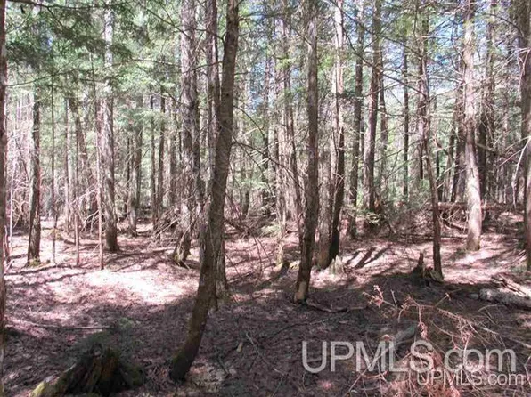 S Klingville Rd, Chassell, MI 49916