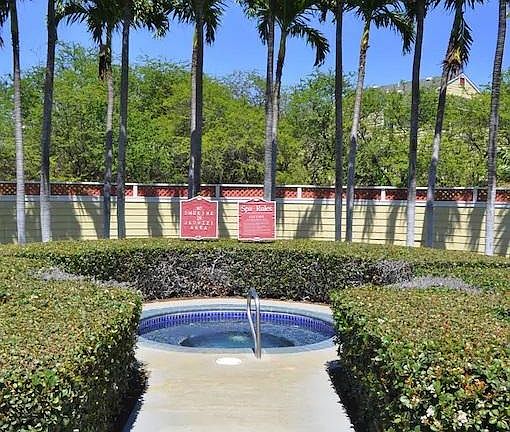 jacuzzi with garden surround