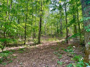 0 Sportsman Lake Rd #1, Springville, AL 35146