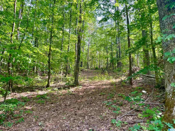 0 Sportsman Lake Rd #1, Springville, AL 35146
