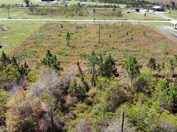 LOT 31 Goldenrod Ln, Wewahitchka, FL 32465