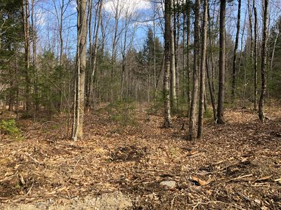 00 Bradbury Lane, Buxton, ME, 04093