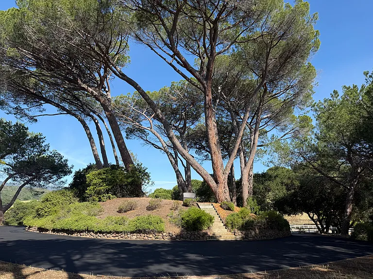 22505 Rolling Hills Rd — Photo 10