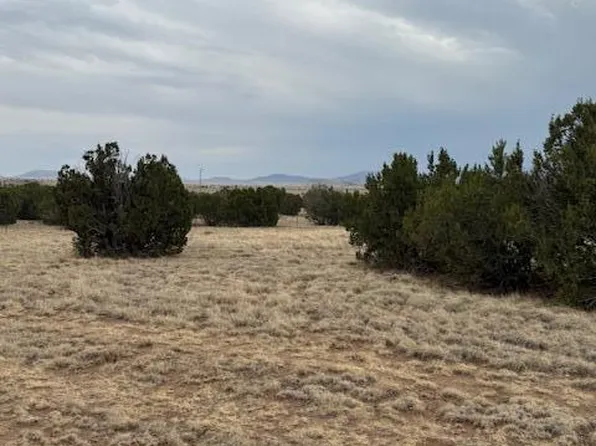 76 County Road 8010, Concho, AZ 85924