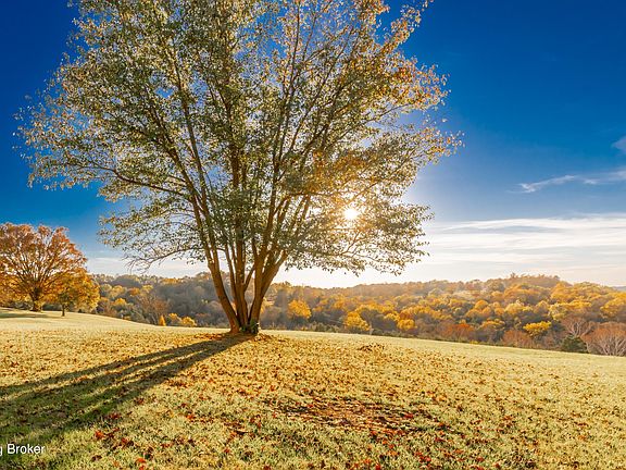 4th image of 252 Burba Rd