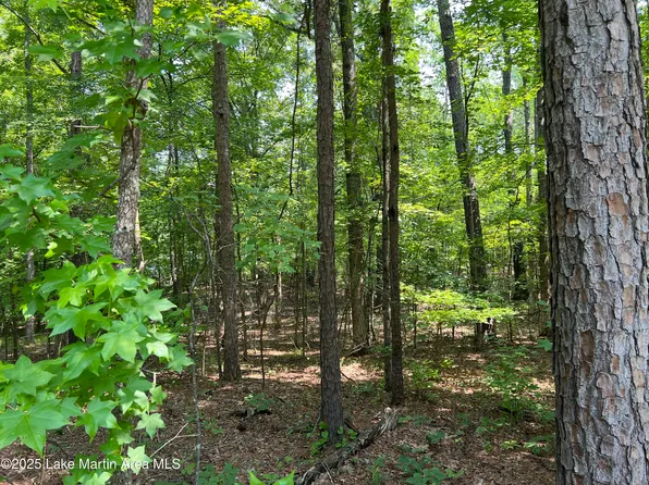 60 Windwood Dr, Dadeville, AL 36853