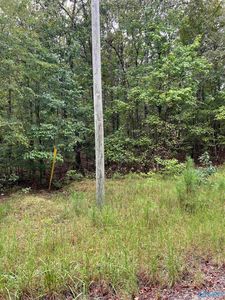 1231 Red Eagle Rd, Ohatchee, AL, 36271