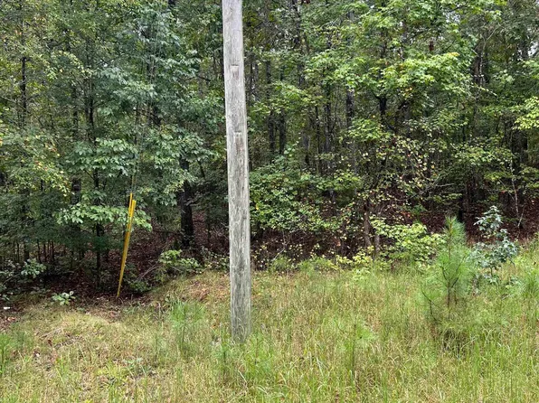1231 Red Eagle Rd, Ohatchee, AL 36271