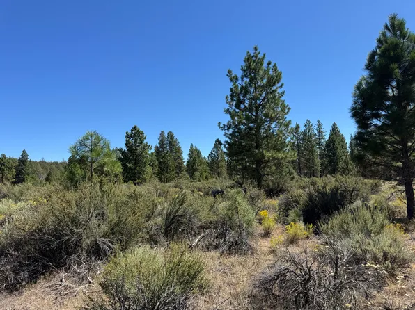 Bufflehead Dr #18, Bonanza, OR 97623