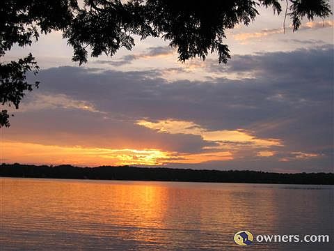 View from the backyard