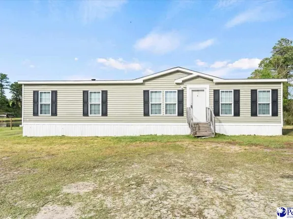 1342 Pee Dee Church Rd, Dillon, SC 29536