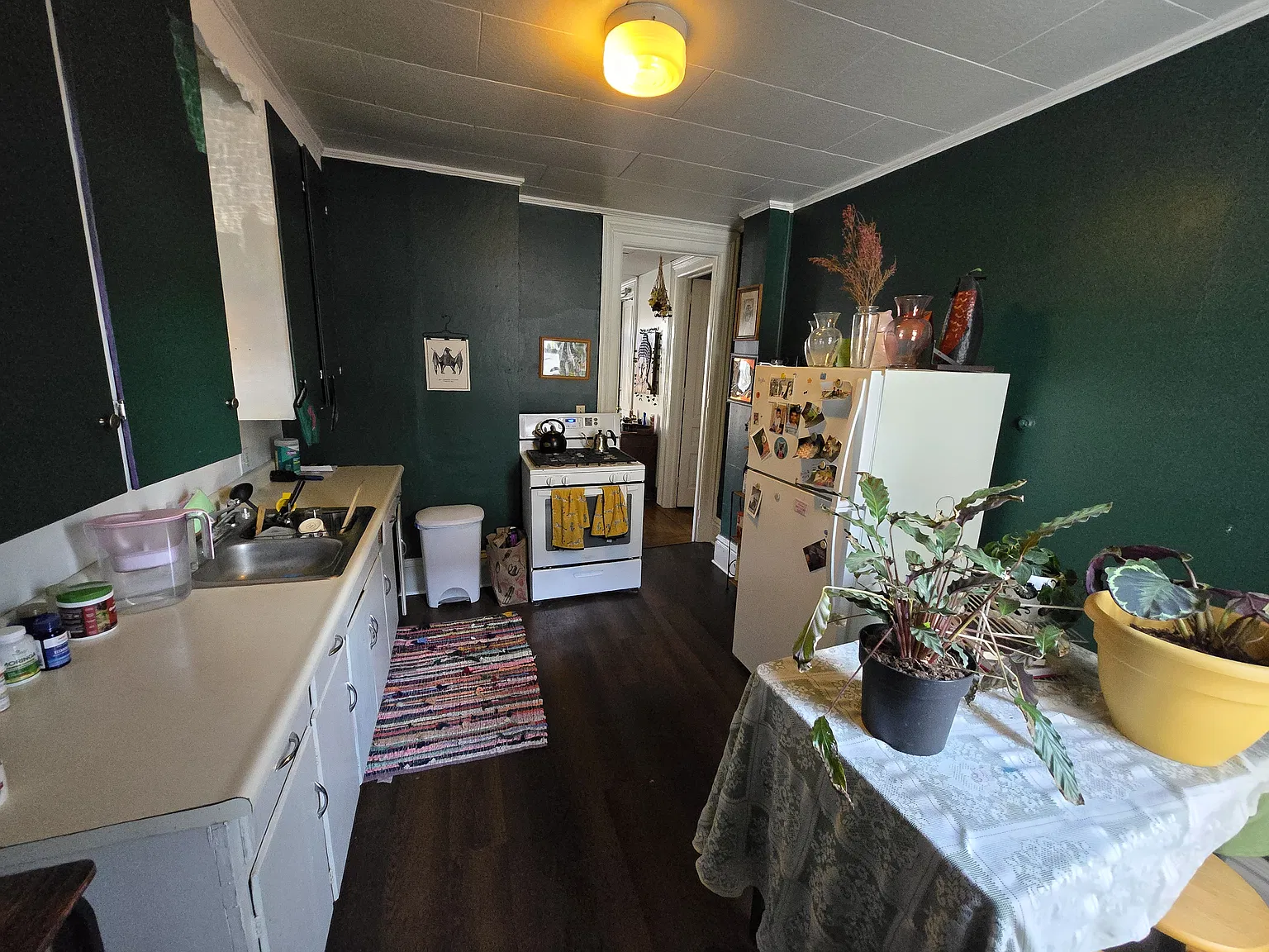 1 bed, 800 sqft, $1,000 — Photo 3