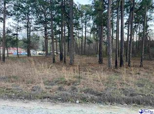 1811 Skylite Dr, Dillon, SC 29536