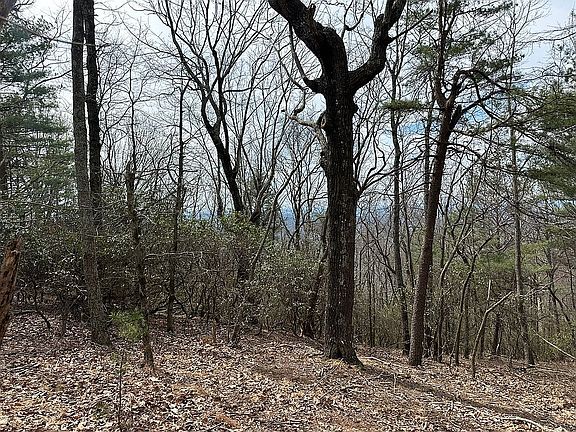 5th image of 0 Ridgeview Dr #8059