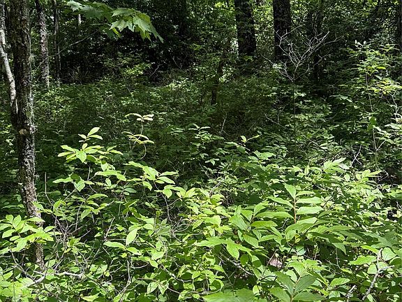 4th image of Indian Lake Rd #32