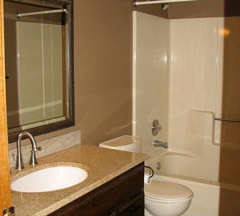 Main level bath with granite counter/tub shower combo