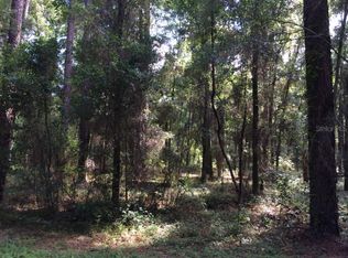 Taylor Woods LOT 1, Deland, FL 32724