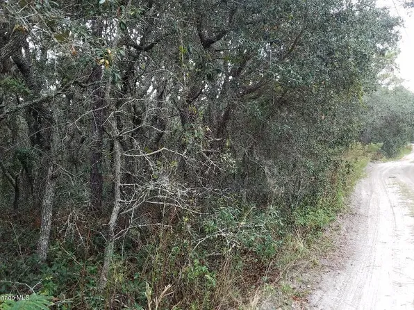 5718 S Butan Point, Homosassa, FL 34446