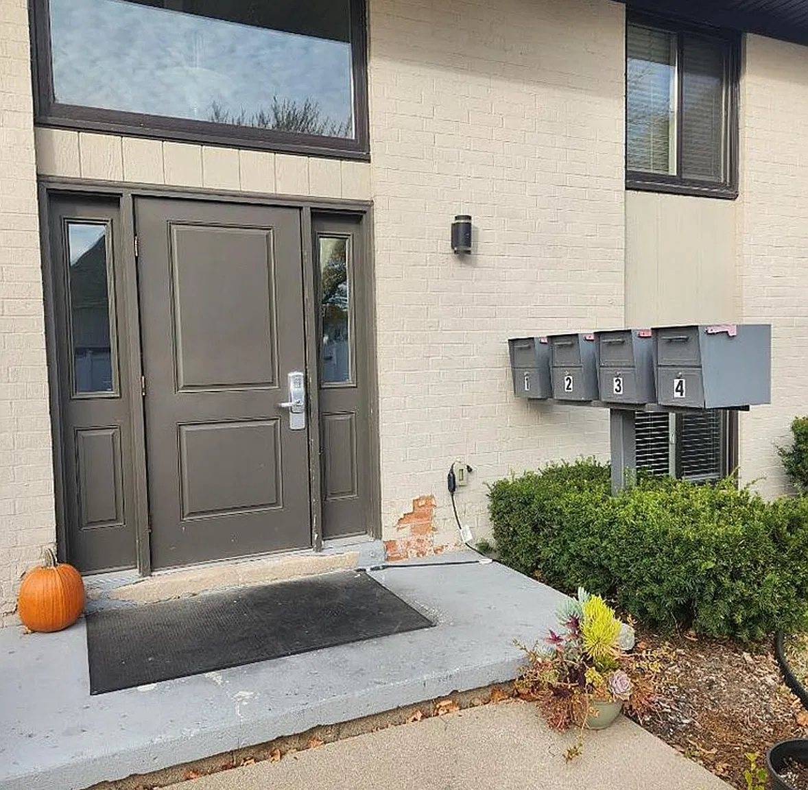 2 bed, 800 sqft, $995 — Photo 3